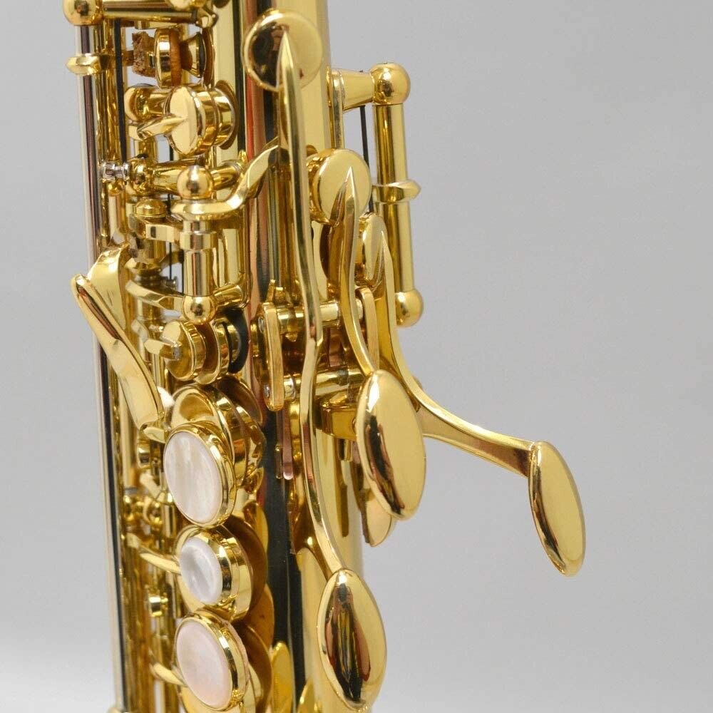 YANAGISAWA S-WO10 Soprano Saxophone Brass Bb FedEx DHL New from Japan