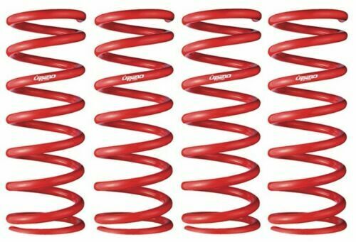 TANABE UP Coil Springs UP210 for Toyota Rav4 AXAH54 MXAA54 2000 4WD 2500HV ★